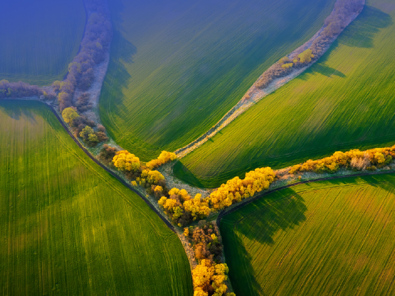 Land